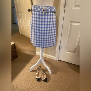 Ann Taylor Pencil Skirt